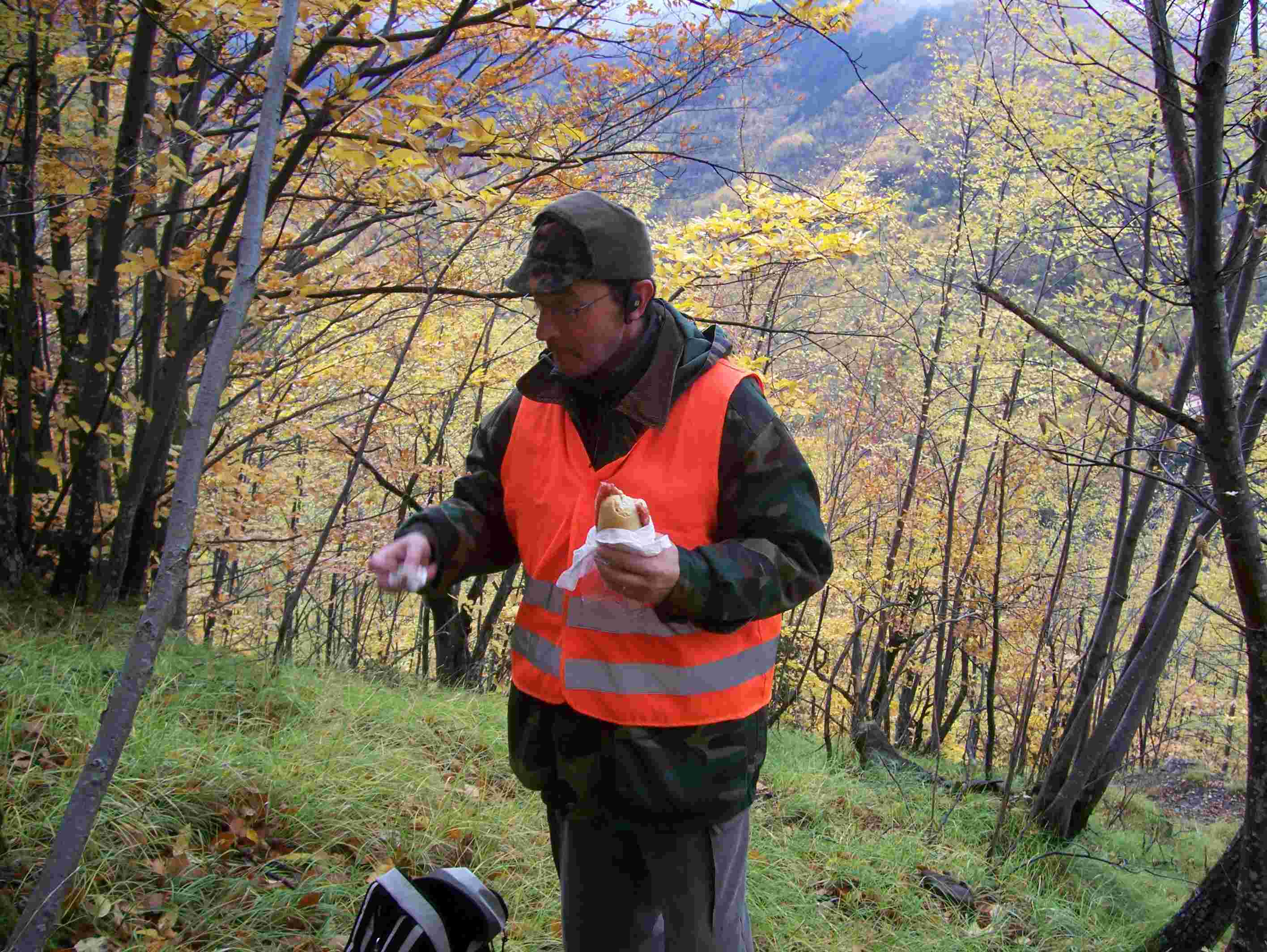  Image name: 10 Caccia.JPG 
 width: 2832 pixel 
 height: 2128 pixel 
 Size: 305277 bytes 
 Click to enlarge 